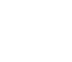 negole-negocios-leone-kanematsu-coporation-logo-catching-company-posorja-ecuador-294-253-C