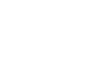 negole-negocios-leone-nirsa-logo-catching-company-posorja-ecuador-294-253-C